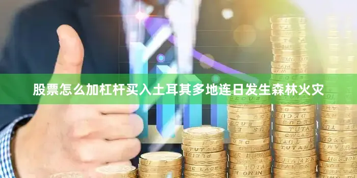 股票怎么加杠杆买入土耳其多地连日发生森林火灾