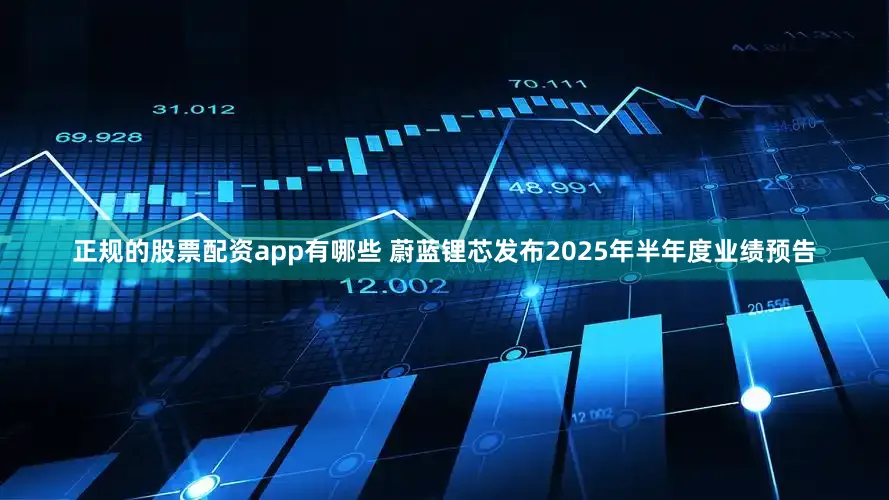 正规的股票配资app有哪些 蔚蓝锂芯发布2025年半年度业绩预告