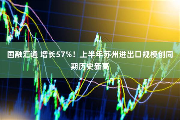 国融汇通 增长57%！上半年苏州进出口规模创同期历史新高