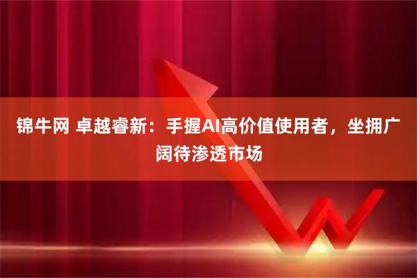 锦牛网 卓越睿新：手握AI高价值使用者，坐拥广阔待渗透市场